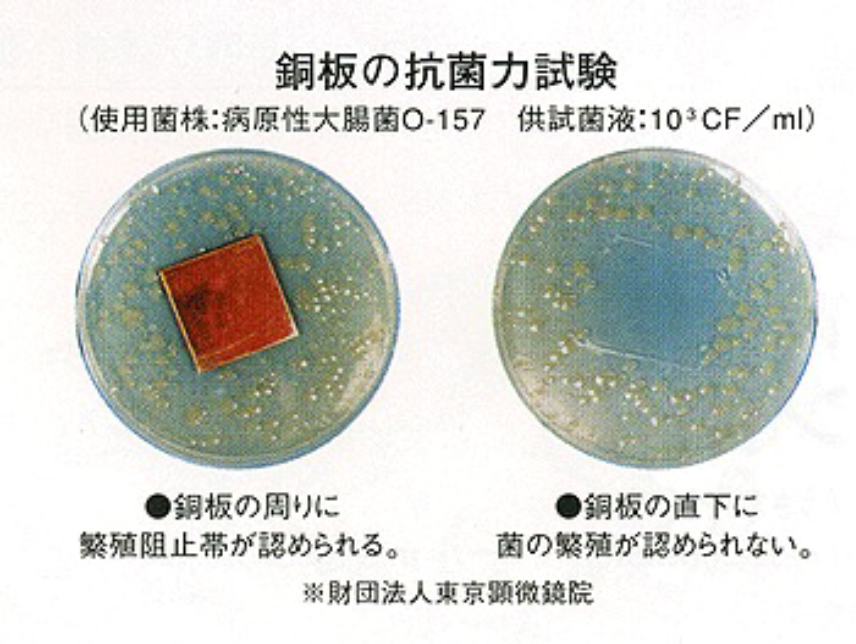 銅板の抗菌力試験の写真